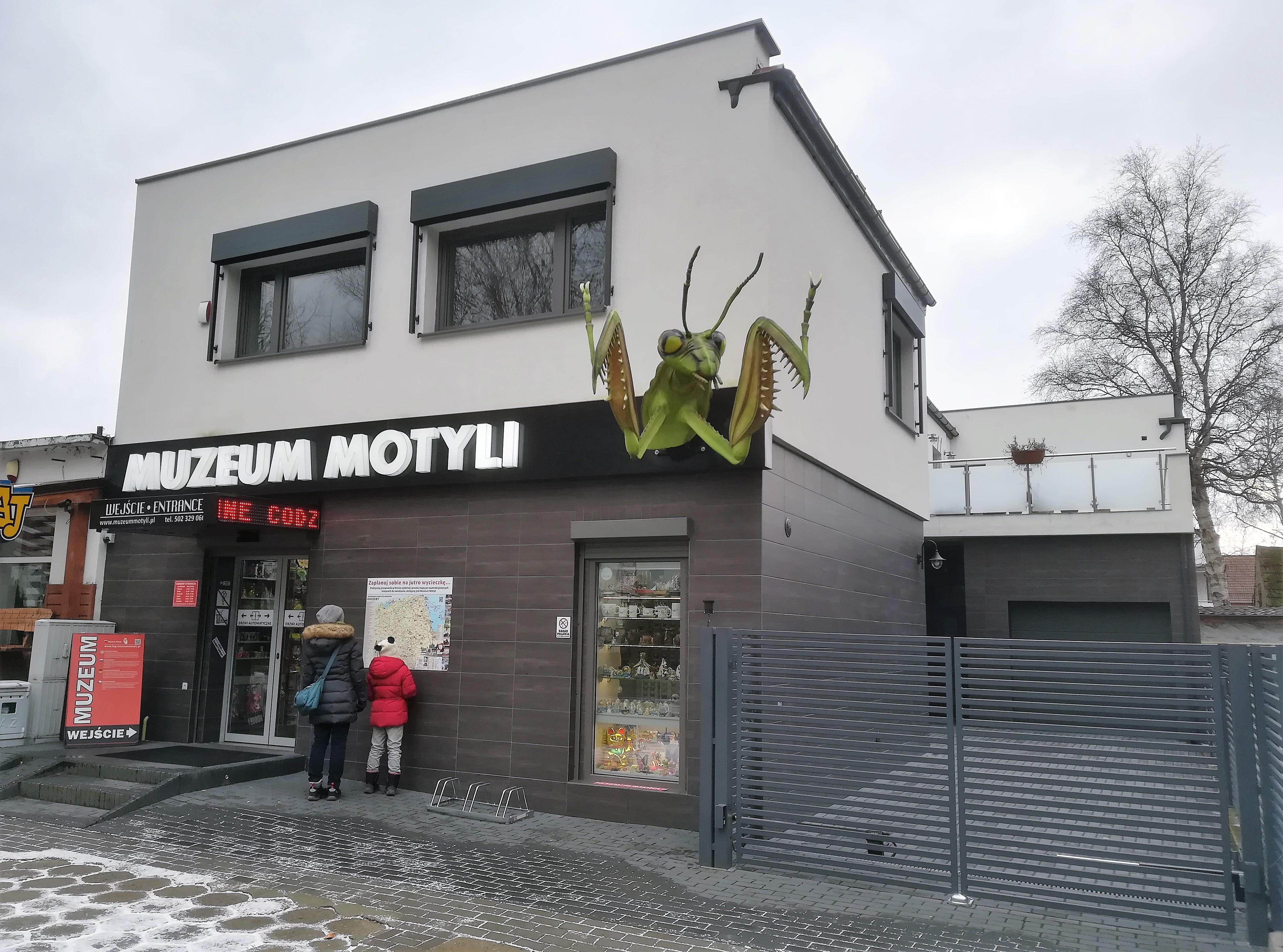 Butterfly Museum in Leba